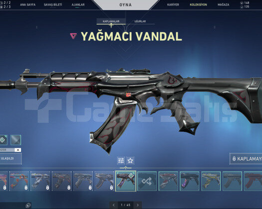 TR |BOL BIÇAKLI MAİNLİK  7238 TL YATIRILMIŞ HESAP
