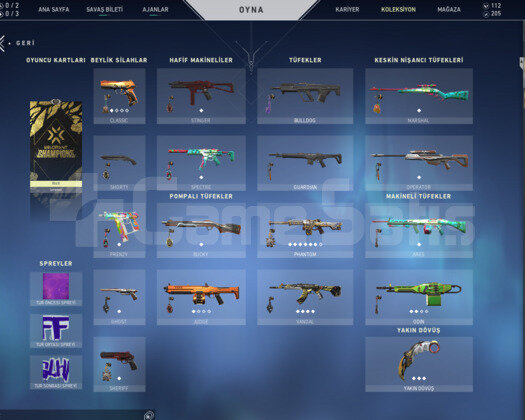 VALORANT CHAMPİONS SET +PLAT2 50+lvl
