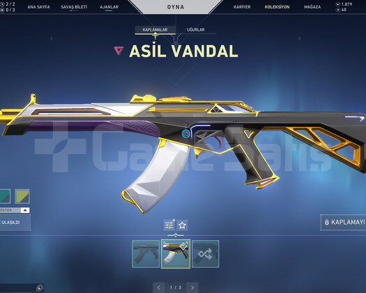 RGX 11Z PRO KELEBEK VE ASİL VANDAL TR HESAP
