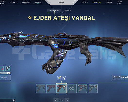 EJDER VANDAL VE KÖKEN OPERATOR TR HESAP