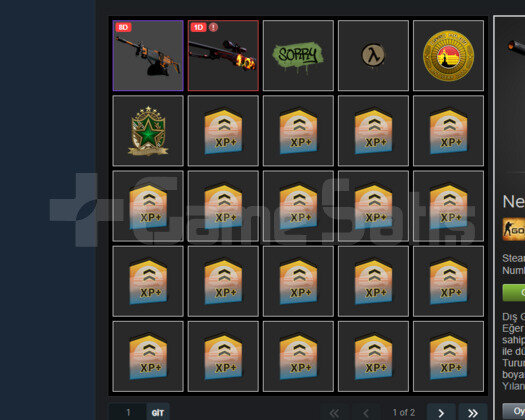 CSGO 11 MADALYALI HESAP