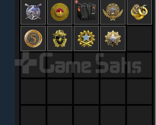 CSGO 11 MADALYALI HESAP