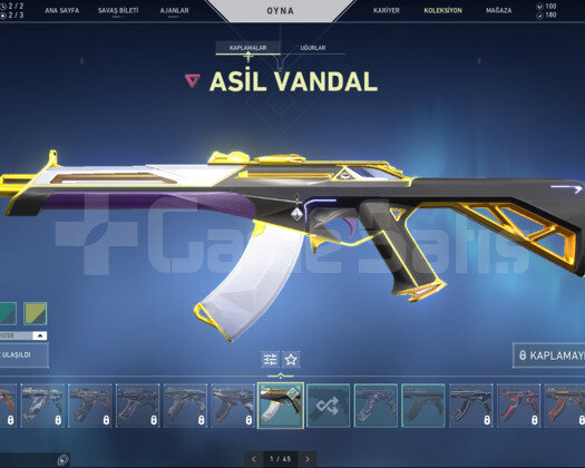 TR| ONİ PHANTOM ASİL VANDAL VE PHANTOM+FAZLASI