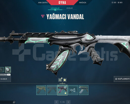 RGX 11Z PRO KELEBEK VE YAĞMACI VANDAL TR HESAP