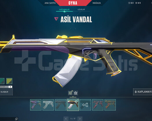 EJDER OPERATOR VE ASİL VANDAL TR HESAP