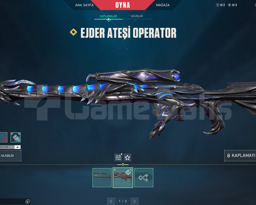EJDER OPERATOR VE ASİL VANDAL TR HESAP