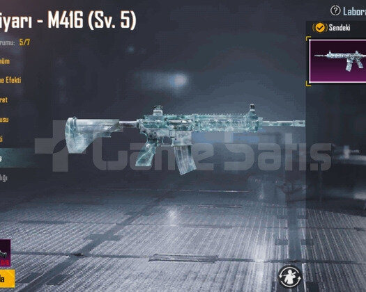 Buz m416 5 seviye  38 destansı