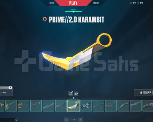 TR/17 Bıçak/12 Vandal/10 Phantom/+219 Skin