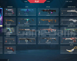 TR/17 Bıçak/12 Vandal/10 Phantom/+219 Skin
