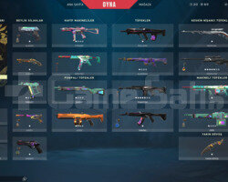 TR/Altın Afet Bıçak/Yağmacı phantom/+69 Skin