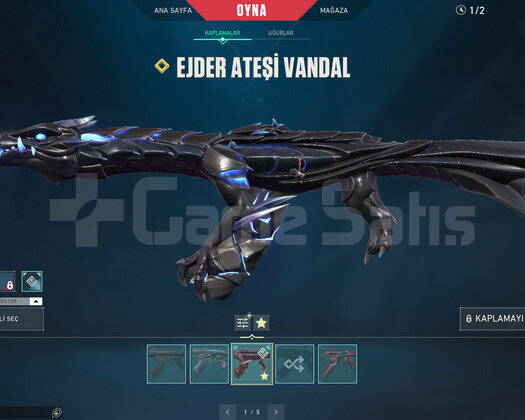 TR - RGX 11Z PRO BIÇAK VE EJDER VANDAL HESAP