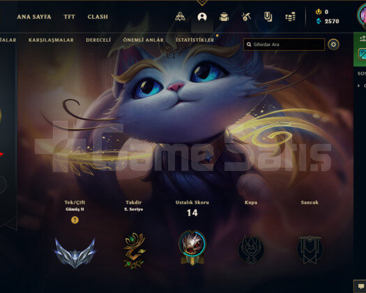 TR SİLVER ADC MAİN ACC