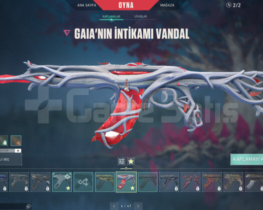 TR| YAĞMACI 2.0 SETLİ İON VANDALLI MAİNLİK HESAP