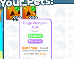 2x Huge Pumpkin Cat