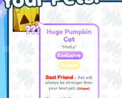 GOLDEN Huge Pumpkin Cat!! Best Friend + Strenght 2