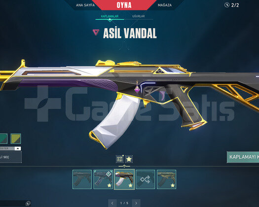 ASİL VANDAL VE RGX 11Z PRO KELEBEK TR HESAP