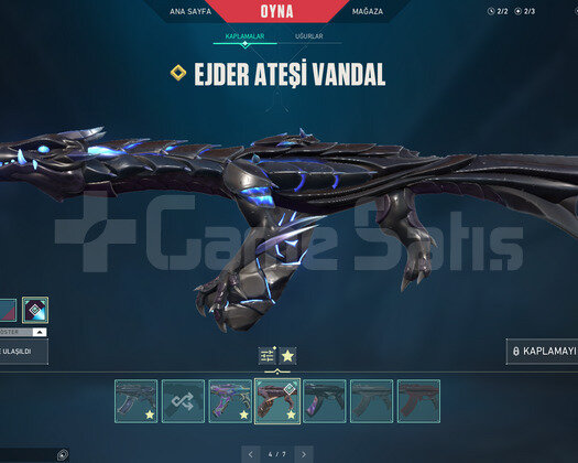 EJDER VANDAL VE YİTİK BIÇAKLI TR HESAP