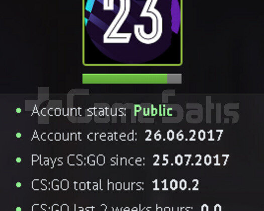 5 Madalya+Yeşil Faktör+1.1K Saat+TR Hesabı+Garanti