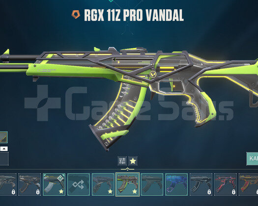 TR SUNUCU|RGX-ASİL-EJDER VANDAL-MÜQ ÇAR