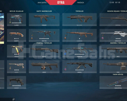 TR| RGX SETLİ YAĞMACI VANDALLI KELEBEKLİ İYON OPLU
