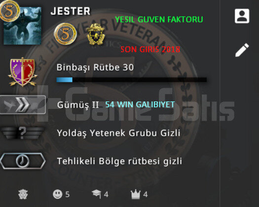 2 MADALYALI SILVER YESIL FAKTOR HESAP