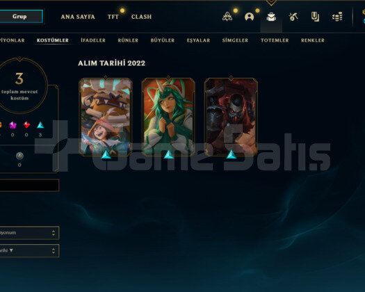 TR Hanmde Silver 1 ACC