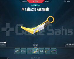 ASİL KARAMBİT VE ASİL VANDAL TR PLATİN HESAP