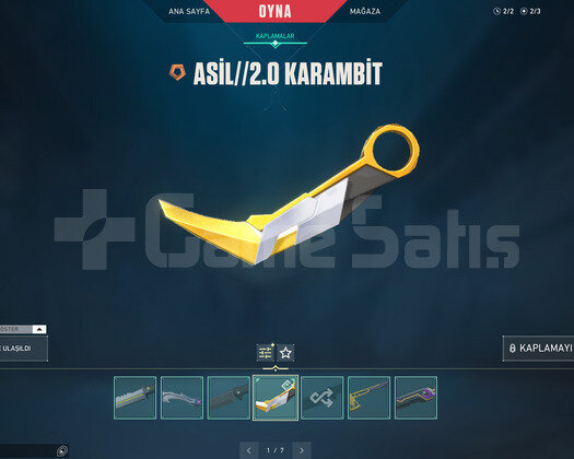 ASİL KARAMBİT VE ASİL VANDAL TR PLATİN HESAP