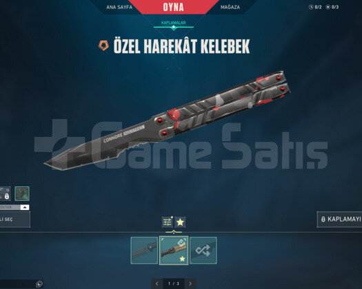 dia 2 kelebekli valorant hesap