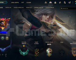EUW ÖMÜRLÜK HESAP BOL SKİN