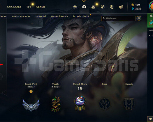 TR Elle kasılmış 80 winrate silver acc