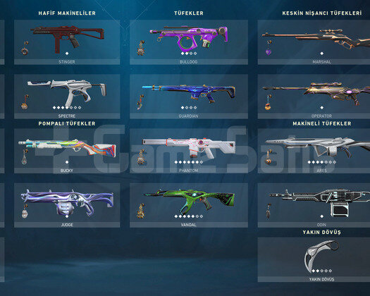 İyon 2.0 Set/Şampiyon Vandal/Spectrum Phantom