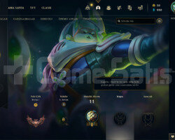 TR BRONZ 1 13 LP HESAP