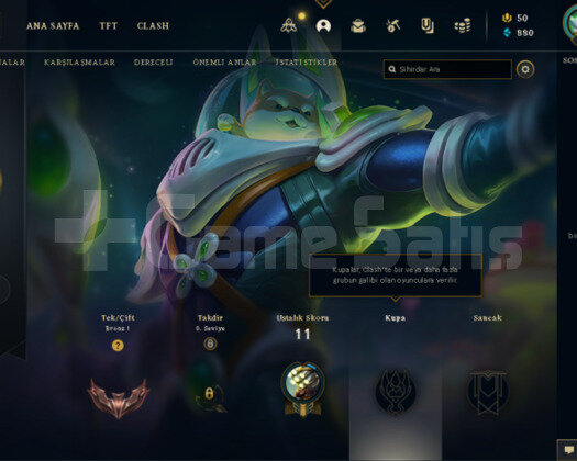 TR BRONZ 1 13 LP HESAP