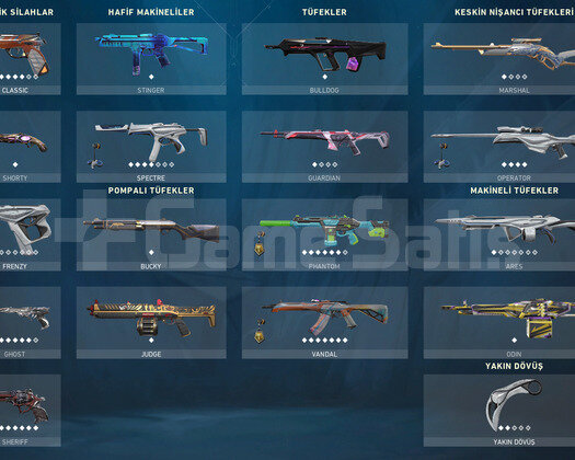 İON FULL SET/12 BIÇ/12 VANDAL/DOPDOLU/+150 SKİN