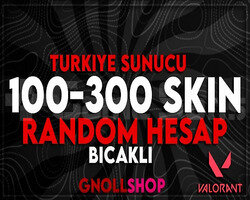 KESİN TR SUNUCU 100-300 SKİN DOLU HESAP
