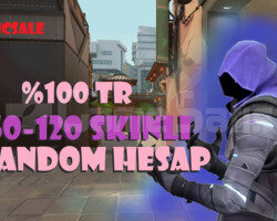 100TR 50-120 GARANTİ SKİNLİ RANDOM HESAP!