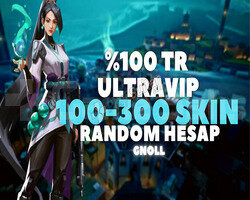 İNDİRİM/KESİN TR SUNUCU 100-300 SKİN DOPDOLU HESAP