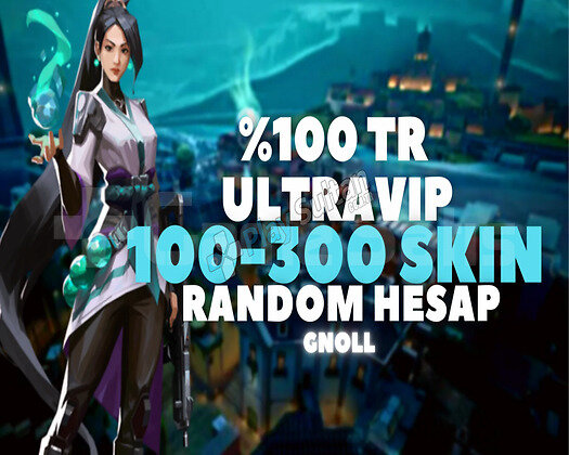 İNDİRİM/KESİN TR SUNUCU 100-300 SKİN DOPDOLU HESAP