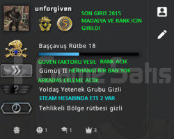 2 MADALYALI RANK ACIK ETS 2 LI CSGO PRIME HESAP