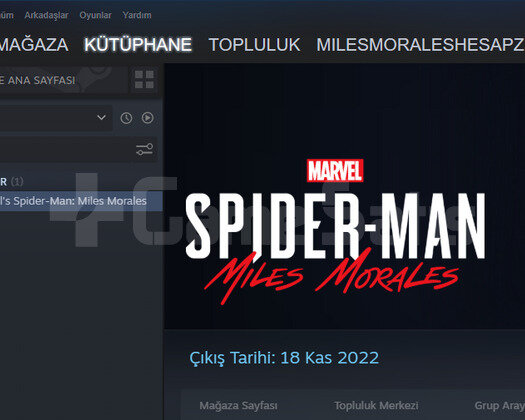 Spider-Man Miles Morales + Garanti +Destek