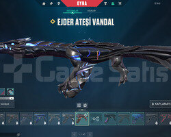 EJDER VANDAL VE ASİL PHANTOM TR HESAP