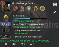 5 MADALYALI MAGAZA ULKESI TURKIYE CSGO PRIME HESAP