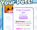Dupe Değil!! Huge Pumpkin Cat Pet Simulator X