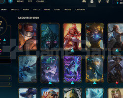 ADC MAIN EUW HESAP