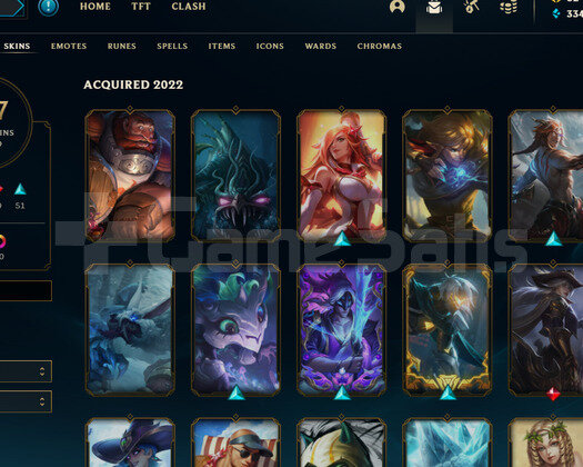 ADC MAIN EUW HESAP