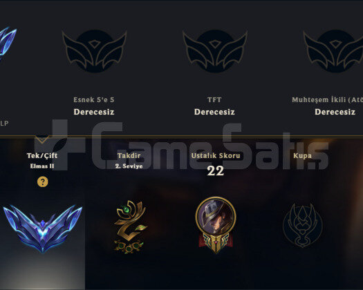 TR D2 +30 LP