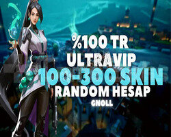 +700SATIŞ/TR SUNUCU 100-300 SKİN DOPDOLU RANDOM