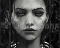Steam Professionel Çizim vitrin tasarımı.