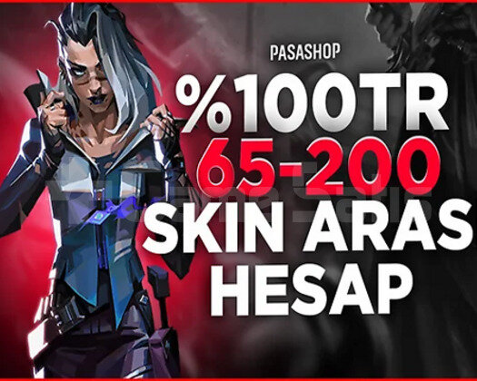 KAMPANYA/TR SUNUCU 65-120 SKİNLİ DOPDOLU RANDOM
